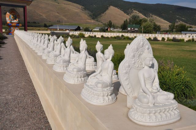 One Thousand Buddhas