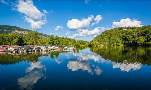 Screen Shot 2019-04-30 at 11.02.52 AM